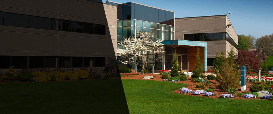 Friendswood Landscapers