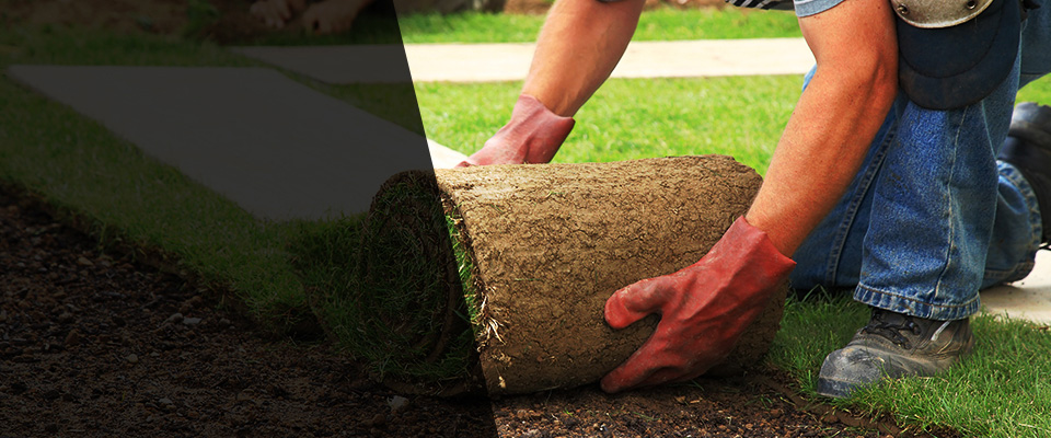 Friendswood Landscapers